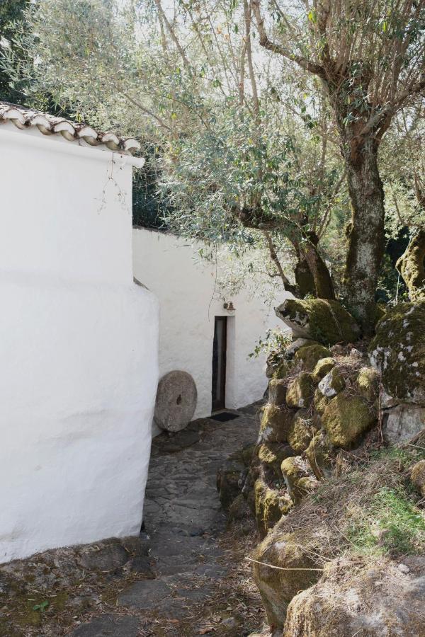 Serra Vida - A Place Of Presence Santo Antonio das Areias Bagian luar foto