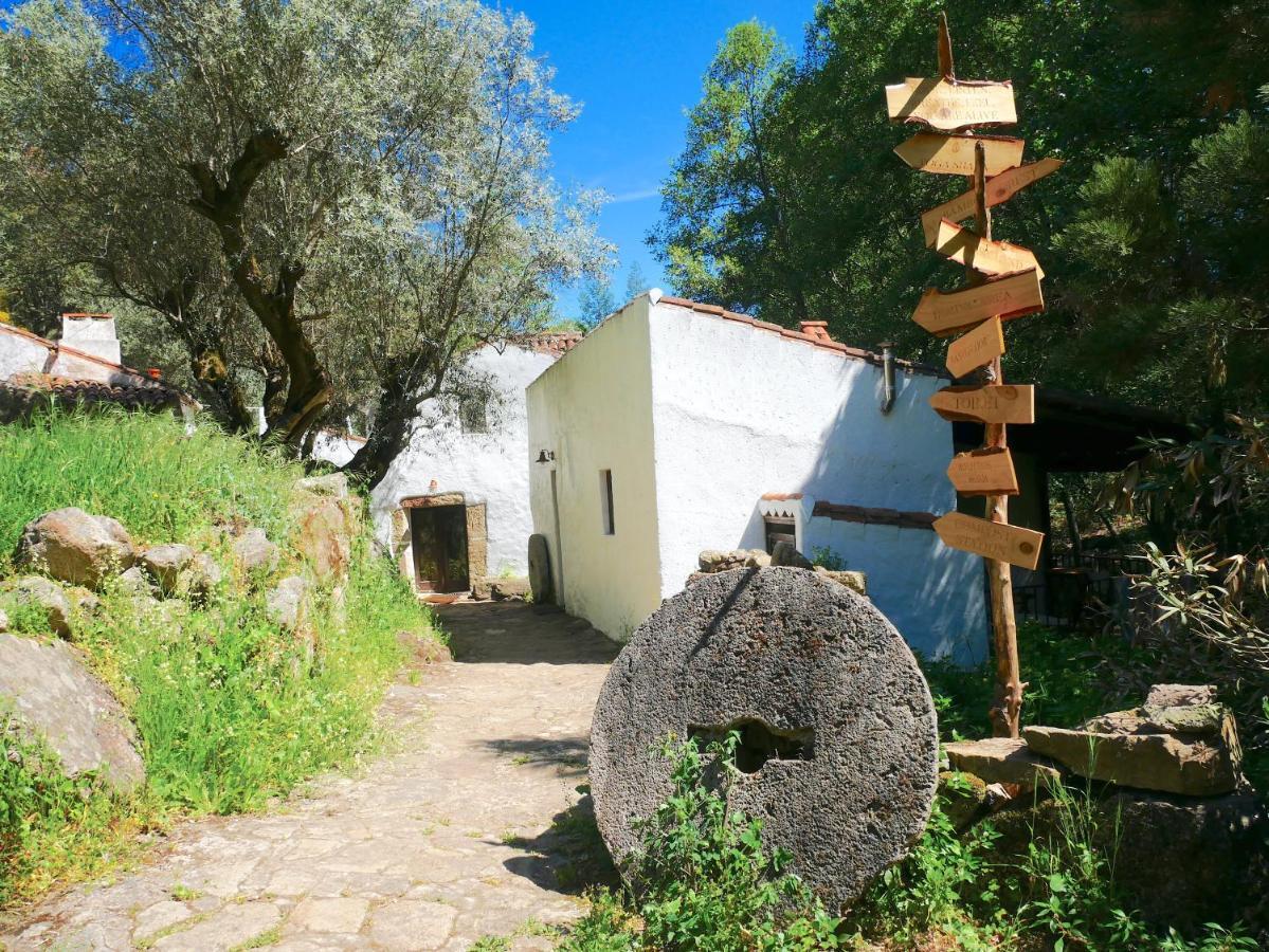 Serra Vida - A Place Of Presence Santo Antonio das Areias Bagian luar foto