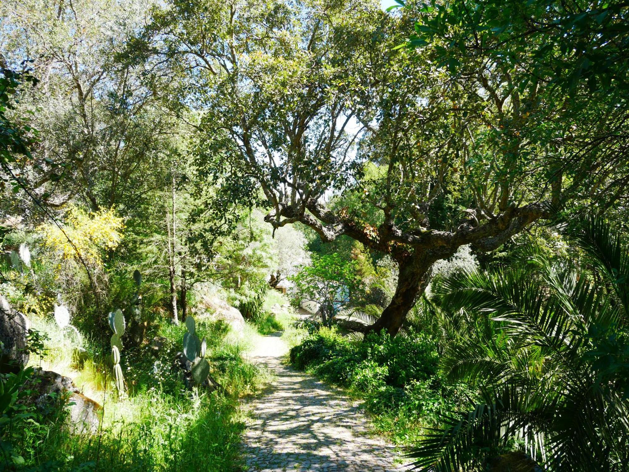 Serra Vida - A Place Of Presence Santo Antonio das Areias Bagian luar foto